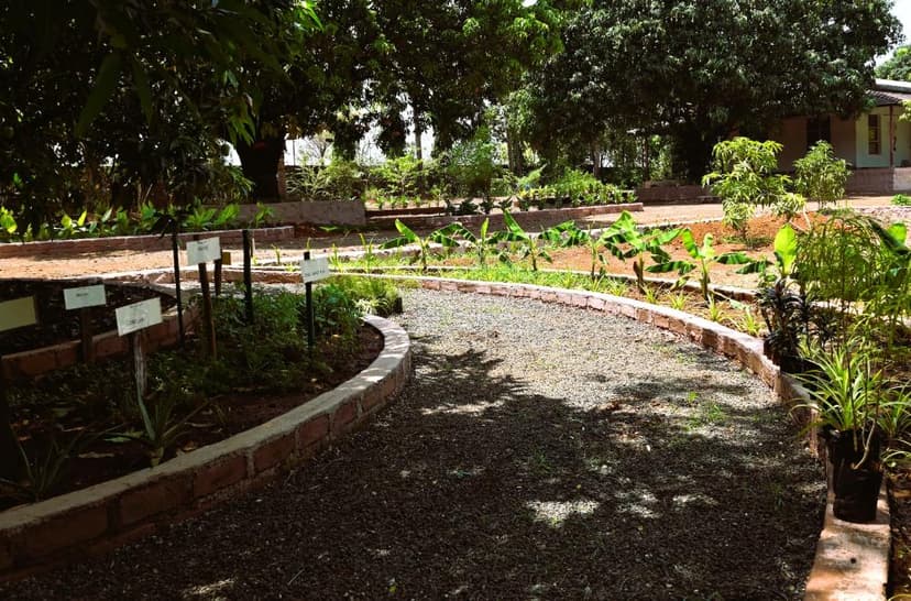 Farm Image 10