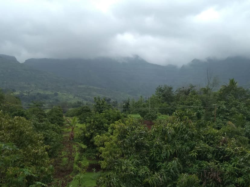 Farm Image 22