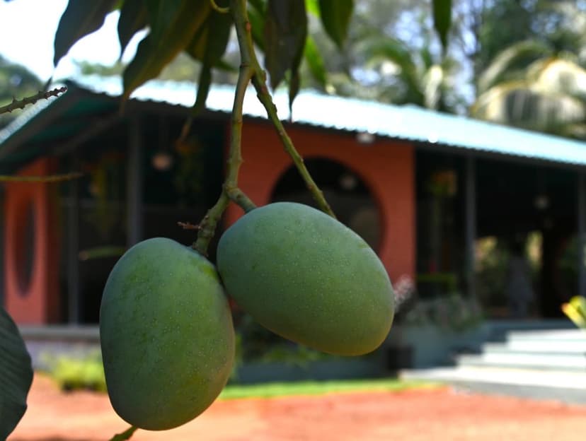 Farm Image 24